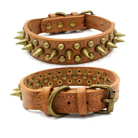 Bronze pointed rivet pet collar