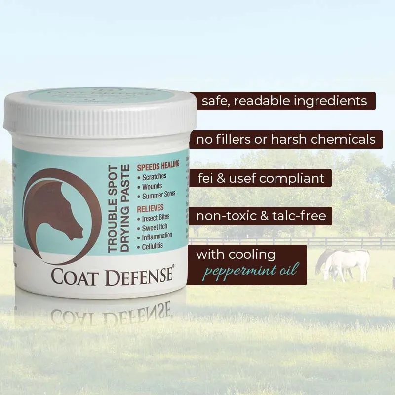 Copy of Coat Defense Trouble Spot Drying Paste - 10 oz