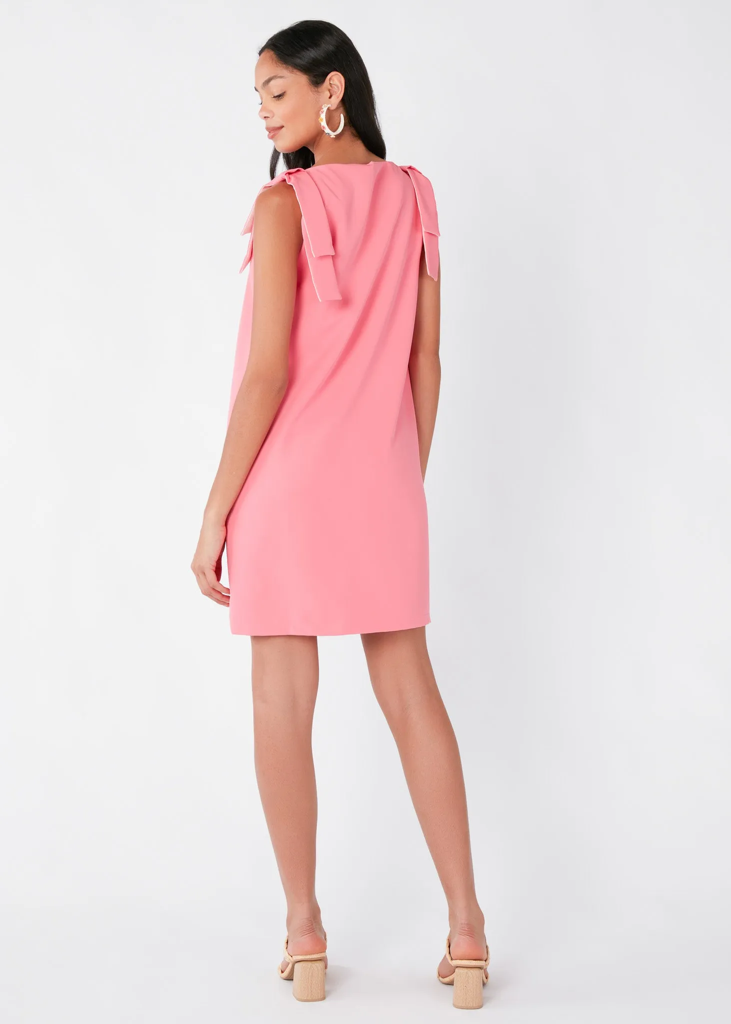 Michelle Shift Dress Carnation