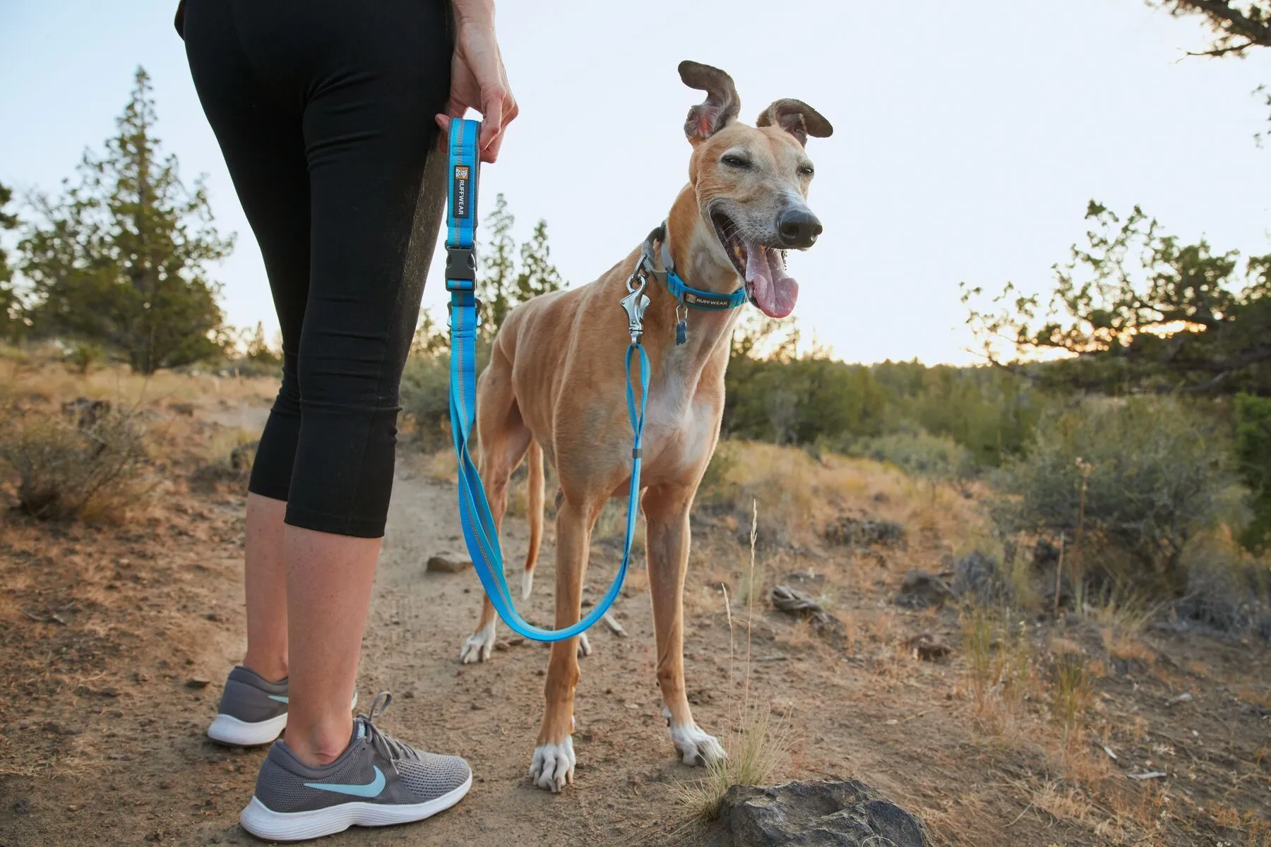 Ruffwear Web Reaction™ Reflective Buckled Martingale Dog Collar (Blue Dusk)