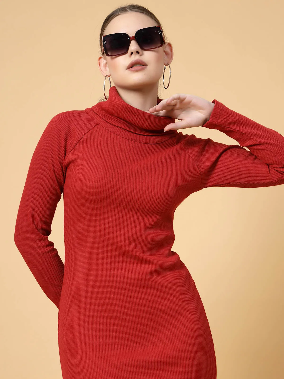 Turtle Neck Bodycon Dress